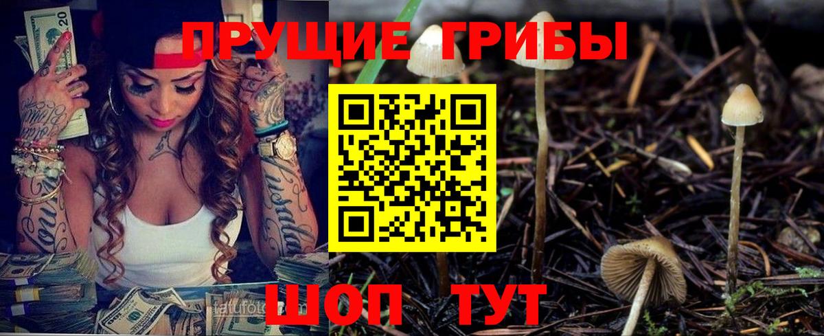 Псилоцибиновые грибы MAGIC MUSHROOMS Вятские Поляны