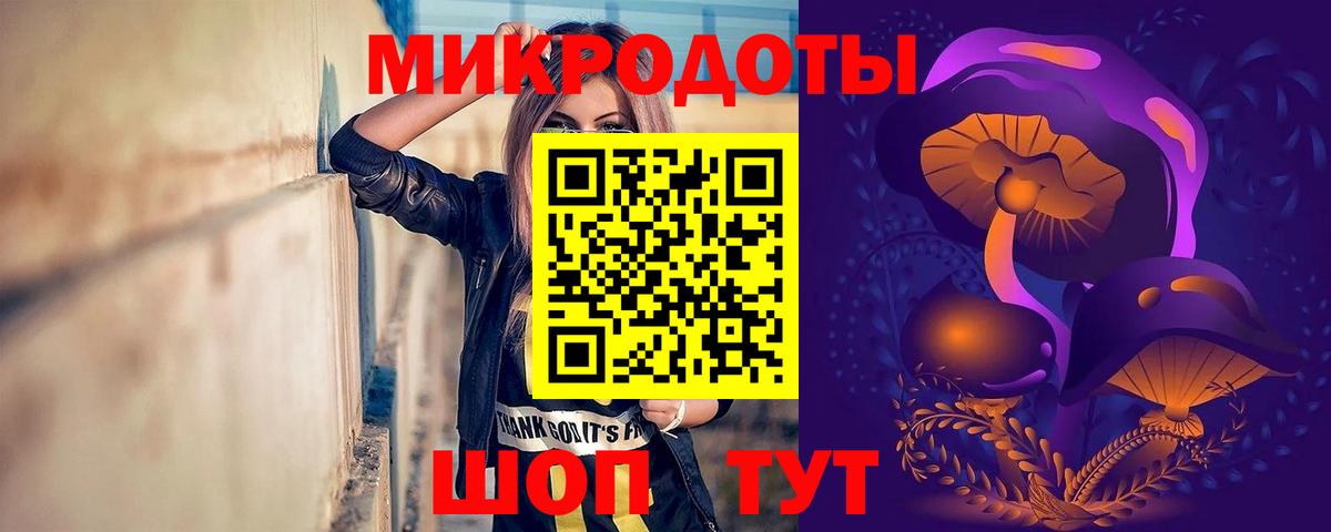 Вятские Поляны  продажа наркотиков  Галлюциногенные грибы прущие грибы  Вход с VPN  Галлюциногенные грибы Psilocybe 